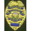 LEMOORE, CA POLICE DEPARTMENT OFFICER BADGE PIN